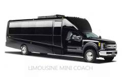Ex-Mini-coach