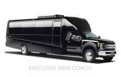 Mini Coach